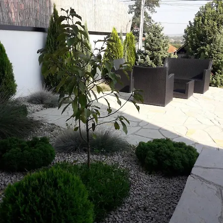 Guest house Salute Nis